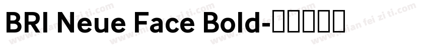 BRI Neue Face Bold字体转换